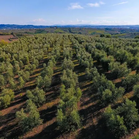 In Vinci Near Florence, Cleaning Included *
