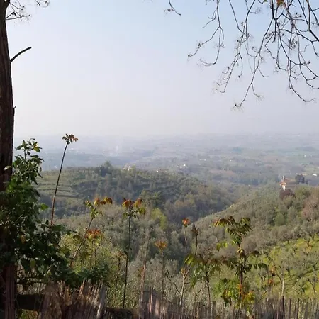 In Vinci Near Florence, Cleaning Included Hébergement de vacances